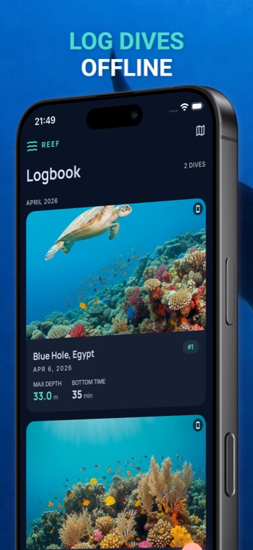 Log dives offline